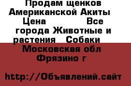 Продам щенков Американской Акиты › Цена ­ 25 000 - Все города Животные и растения » Собаки   . Московская обл.,Фрязино г.
